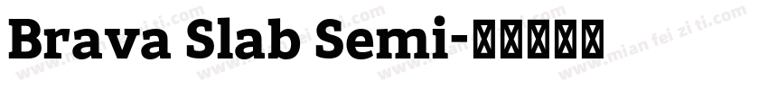 Brava Slab Semi字体转换